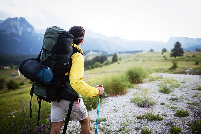 The Camino de Santiago routes